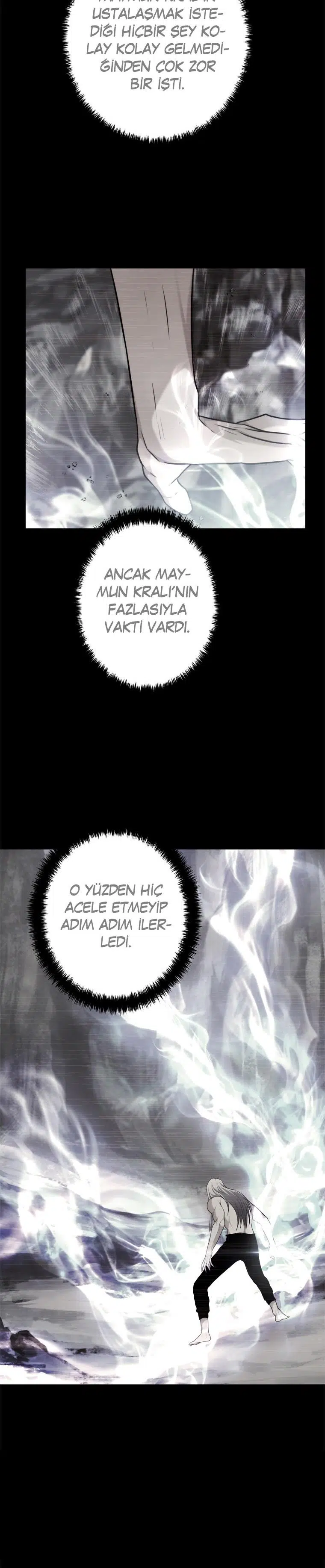 Seçkinin İkinci Yaşamı - Bölüm 113 Sayfa 19