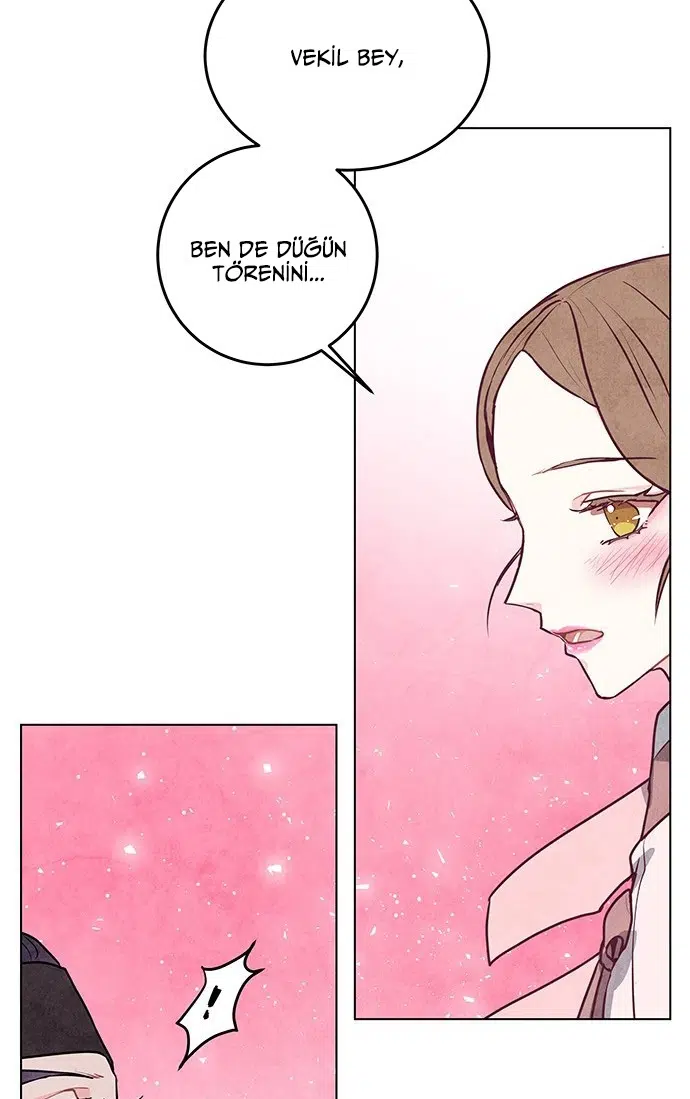 Bir Anlaşmanın Gelini - Bölüm 21 Sayfa 32