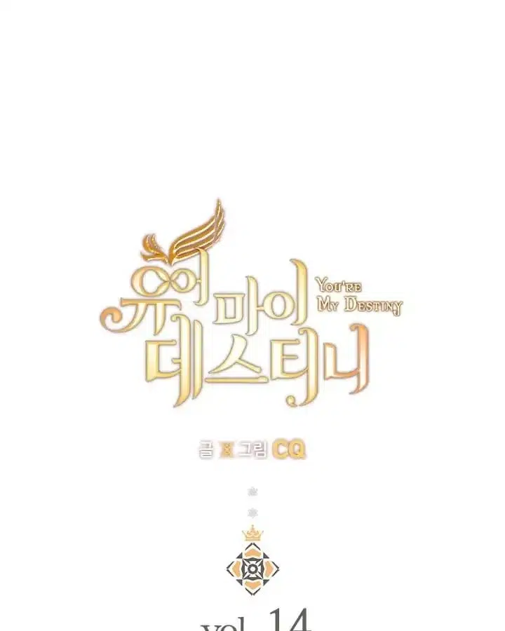 You Are My Destiny - Bölüm 14 Sayfa 14