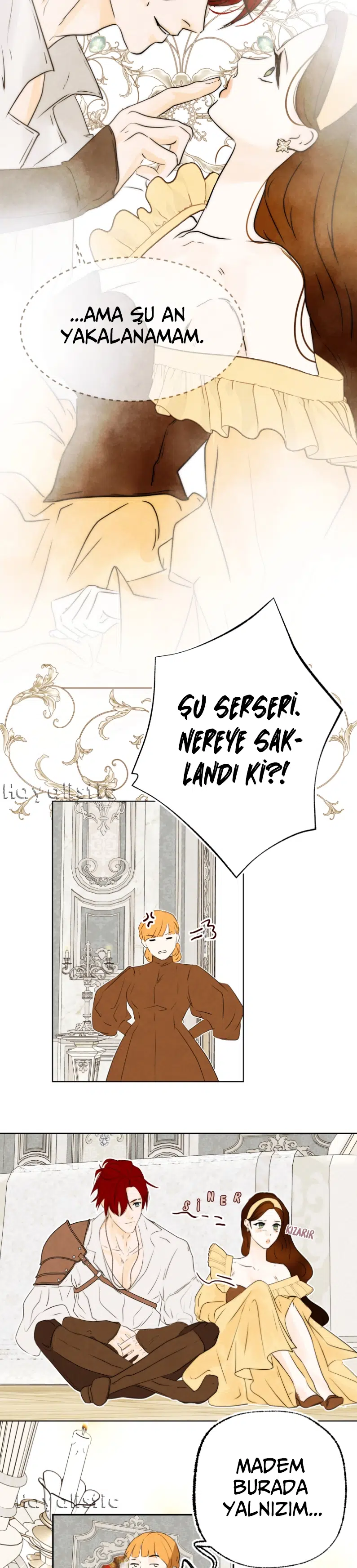 Ben Kötü Kadınım - Bölüm 31 Sayfa 13