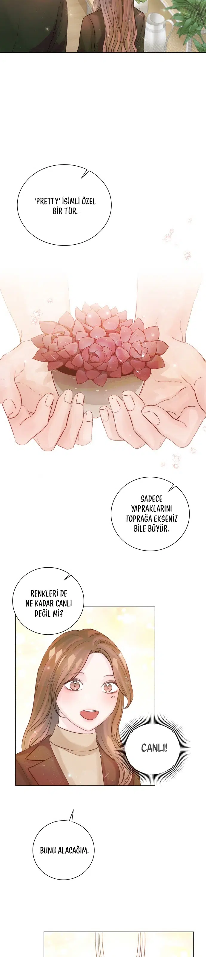Bu Hikâye Güzel Bitecek - Bölüm 44 Sayfa 13