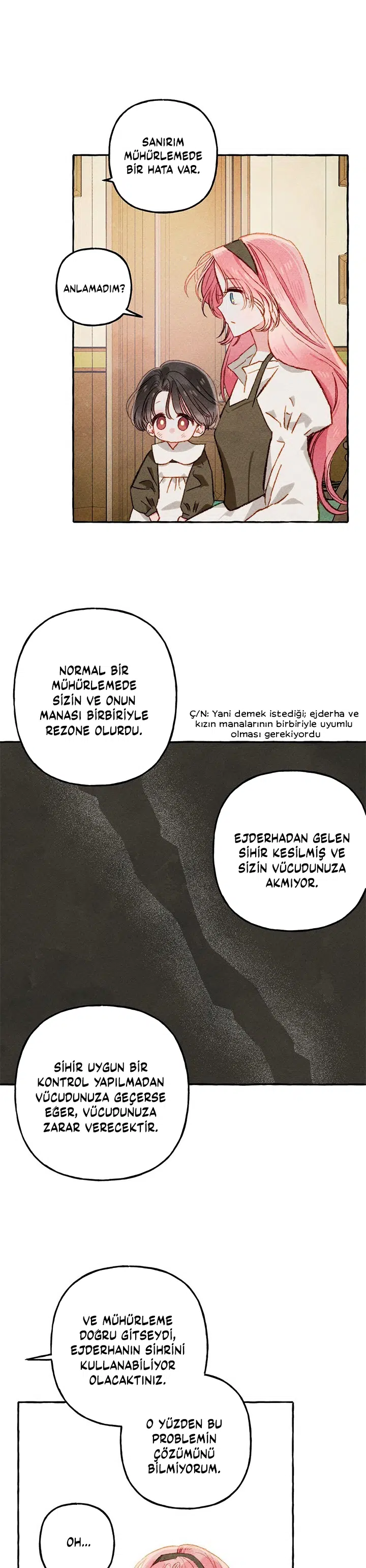 Siyah Bir Ejder Yetiştirdim - Bölüm 12 Sayfa 17