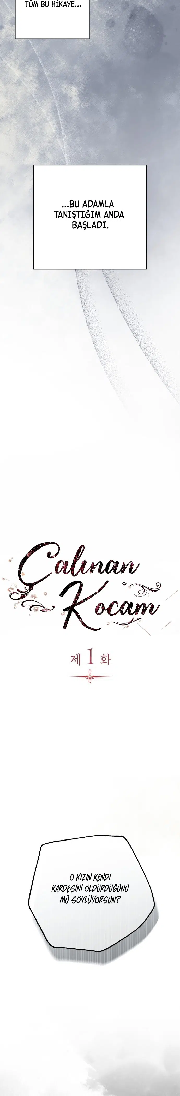 Çalınan Kocam - Bölüm 1 Sayfa 12
