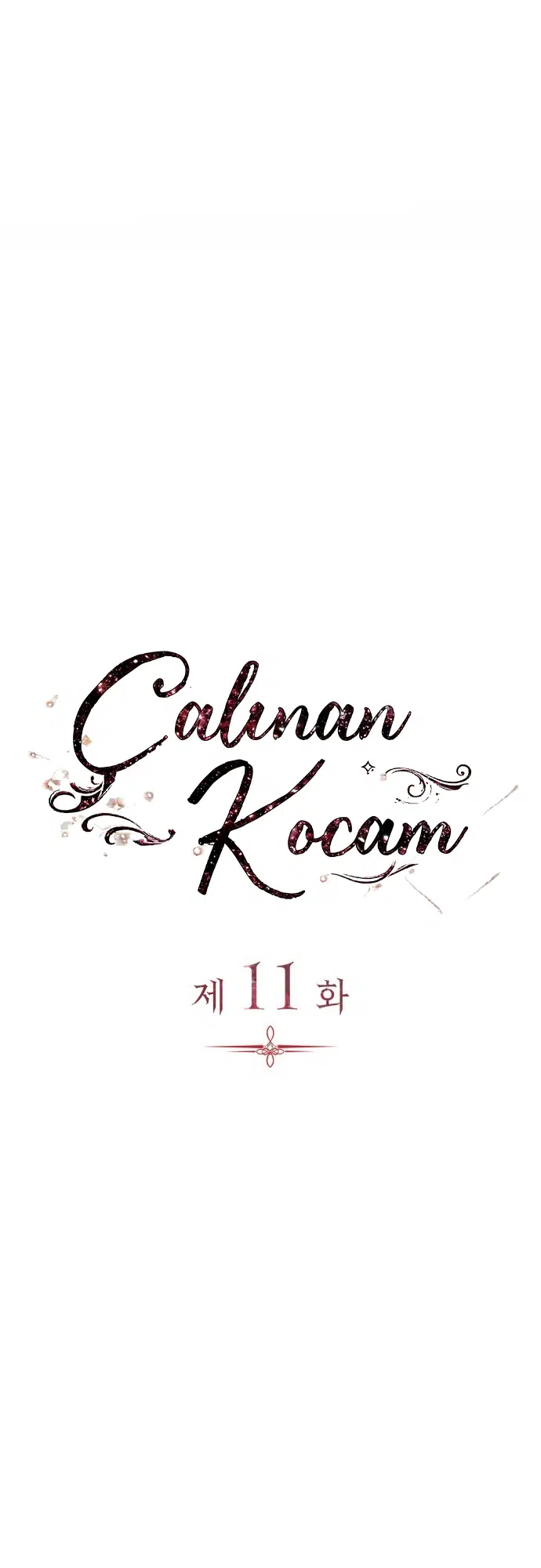 Çalınan Kocam - Bölüm 11 Sayfa 21