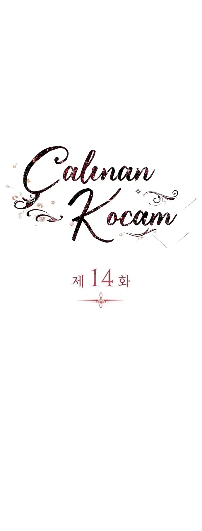 Çalınan Kocam - Bölüm 14 Sayfa 17