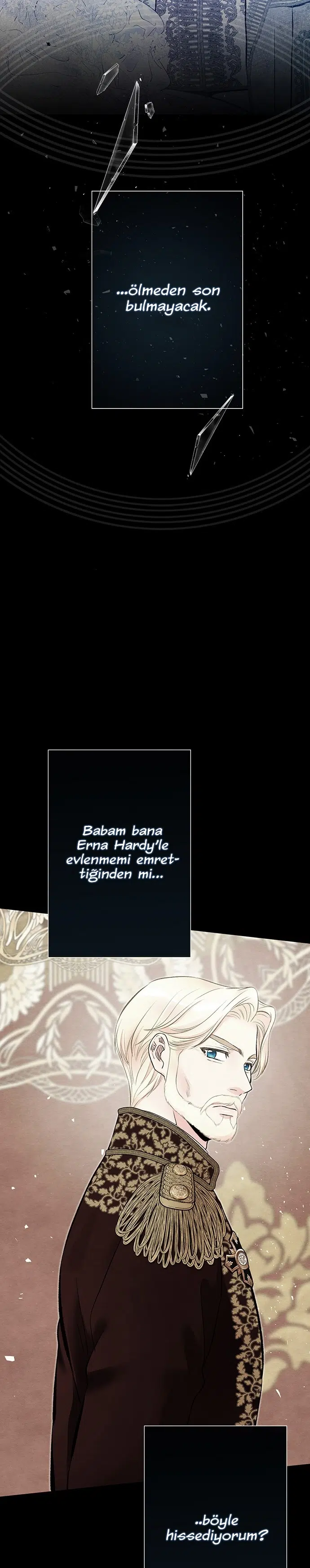 Problemli Prens - Bölüm 30 Sayfa 37