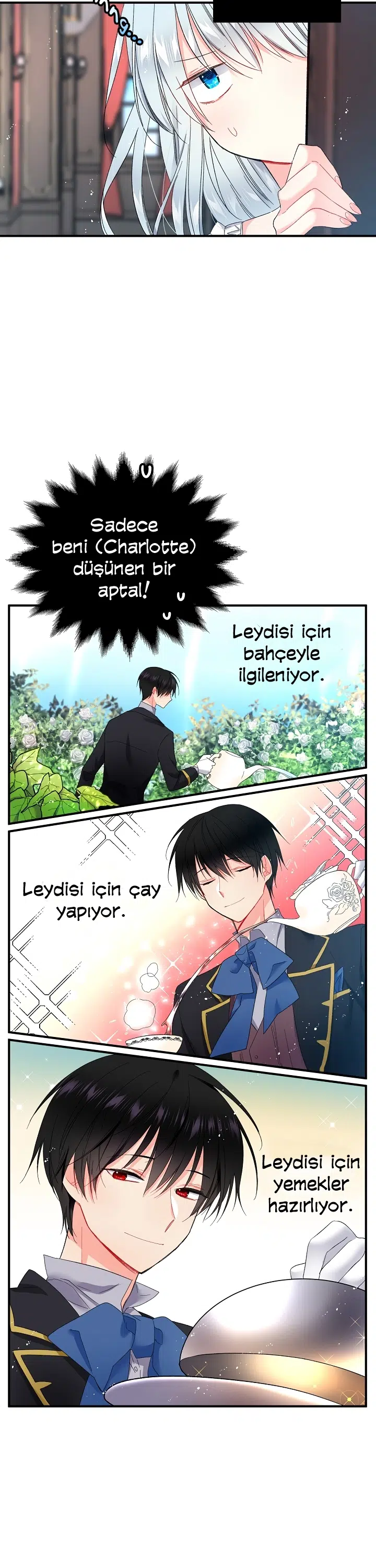 Hanımefendinin Uşağı - Bölüm 3 Sayfa 5
