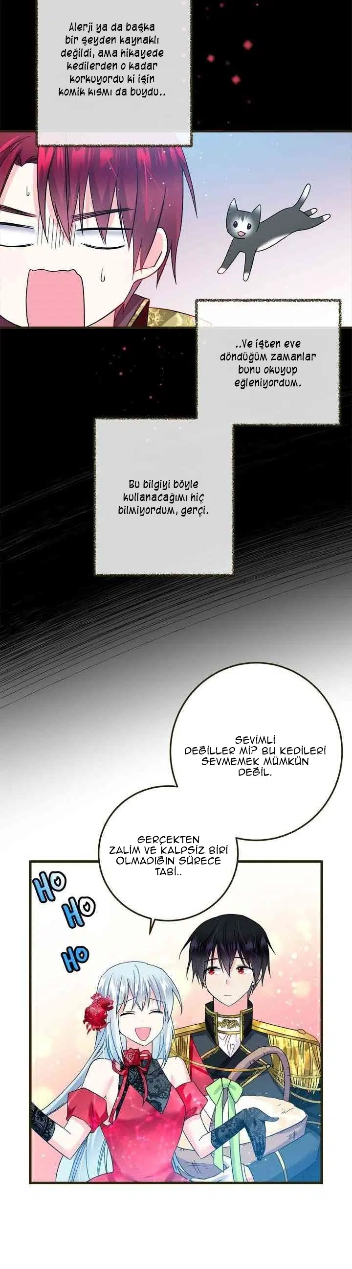 Hanımefendinin Uşağı - Bölüm 17 Sayfa 13