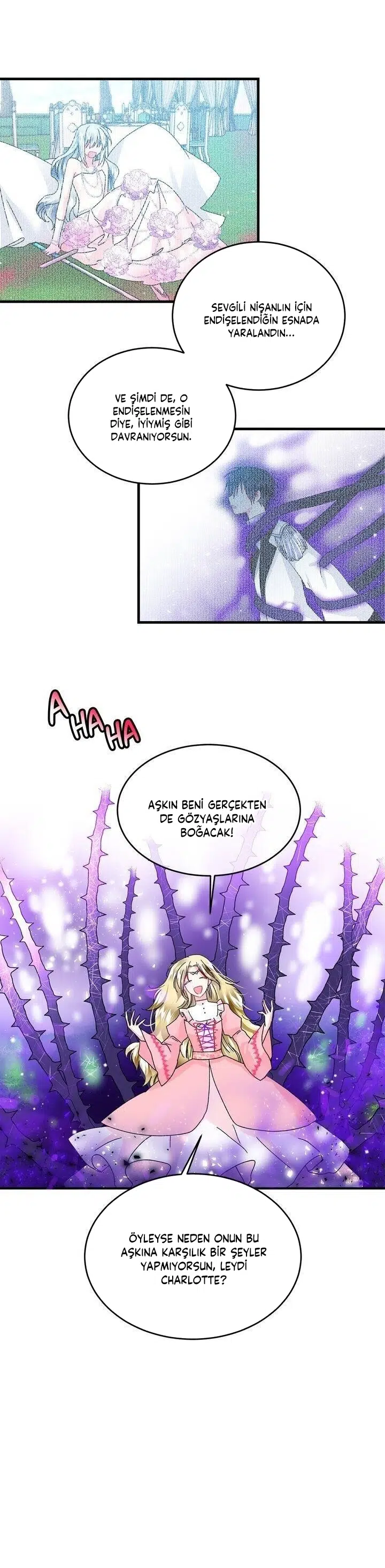 Hanımefendinin Uşağı - Bölüm 36 Sayfa 22
