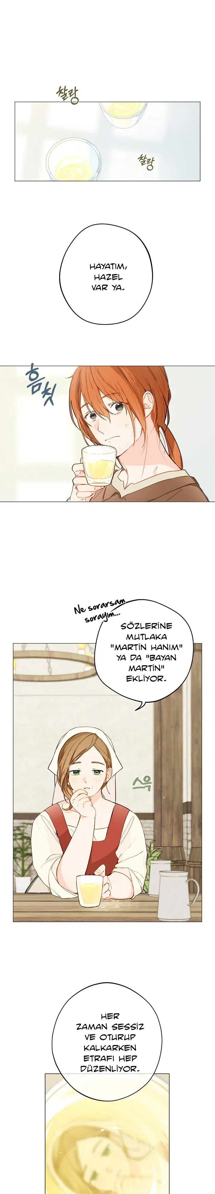 Saray Yakınındaki Marronnier Çiftliği - Bölüm 1 Sayfa 11