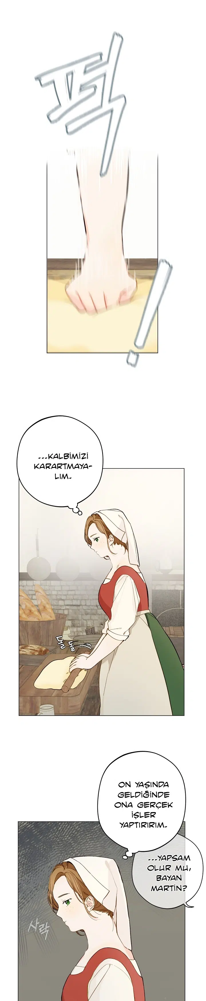 Saray Yakınındaki Marronnier Çiftliği - Bölüm 1 Sayfa 14