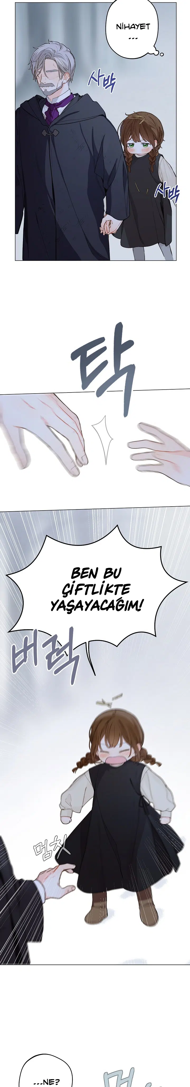 Saray Yakınındaki Marronnier Çiftliği - Bölüm 2 Sayfa 5