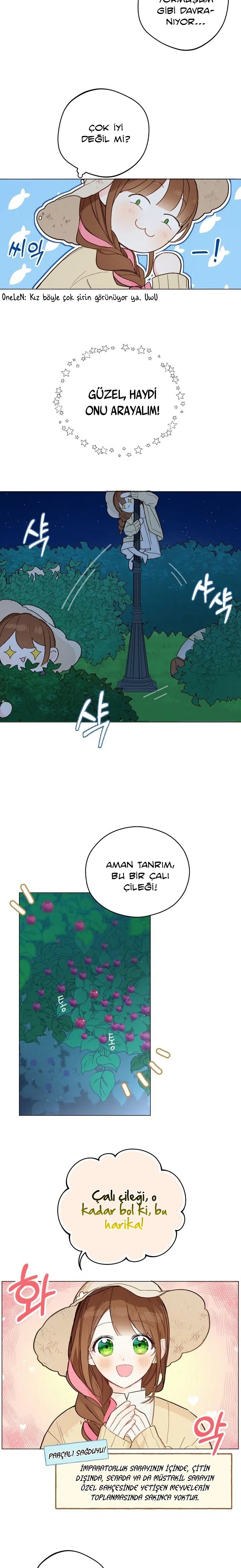 Saray Yakınındaki Marronnier Çiftliği - Bölüm 6 Sayfa 15