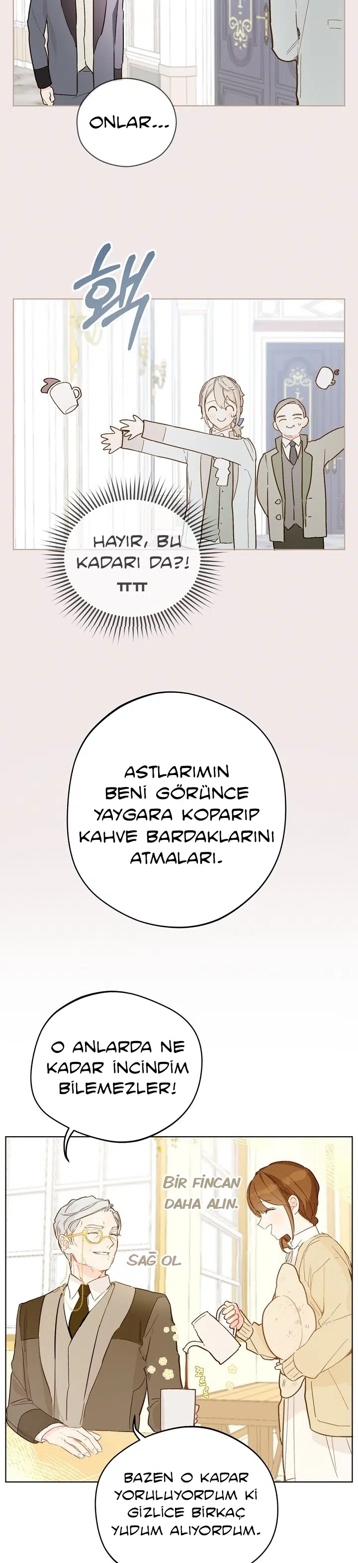 Saray Yakınındaki Marronnier Çiftliği - Bölüm 7 Sayfa 19