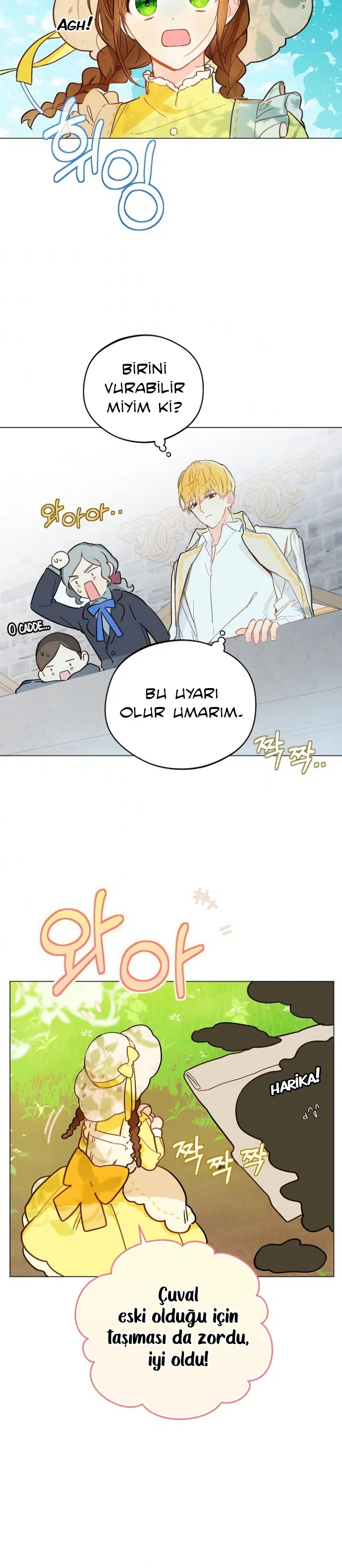 Saray Yakınındaki Marronnier Çiftliği - Bölüm 9 Sayfa 14