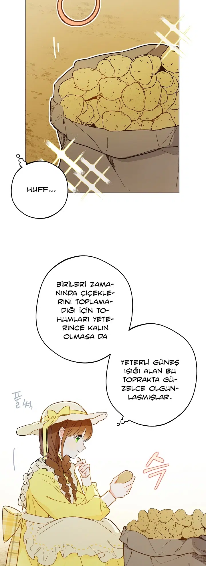 Saray Yakınındaki Marronnier Çiftliği - Bölüm 10 Sayfa 17