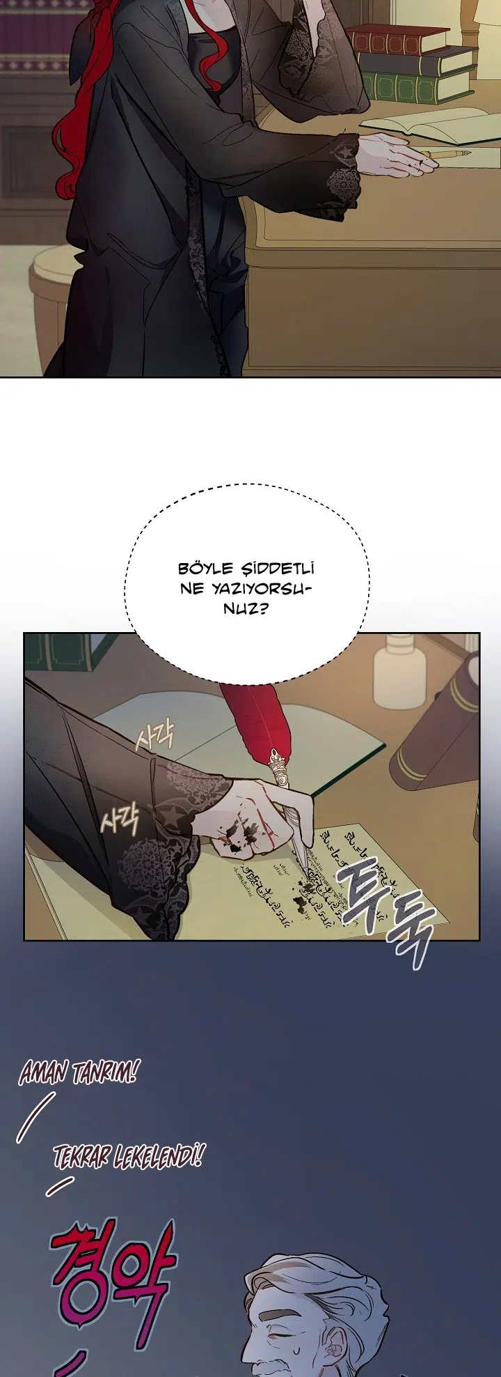 Saray Yakınındaki Marronnier Çiftliği - Bölüm 14 Sayfa 25