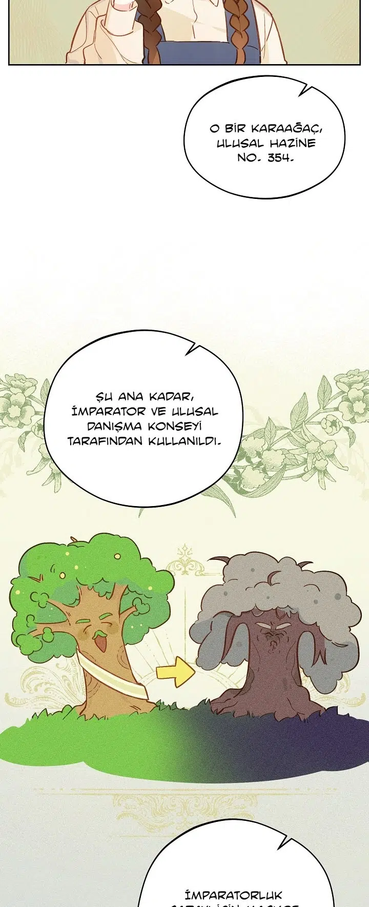Saray Yakınındaki Marronnier Çiftliği - Bölüm 15 Sayfa 31