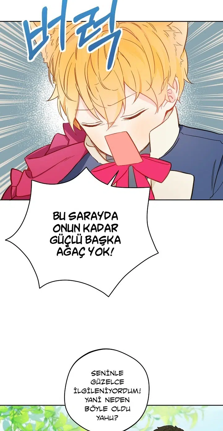 Saray Yakınındaki Marronnier Çiftliği - Bölüm 15 Sayfa 34