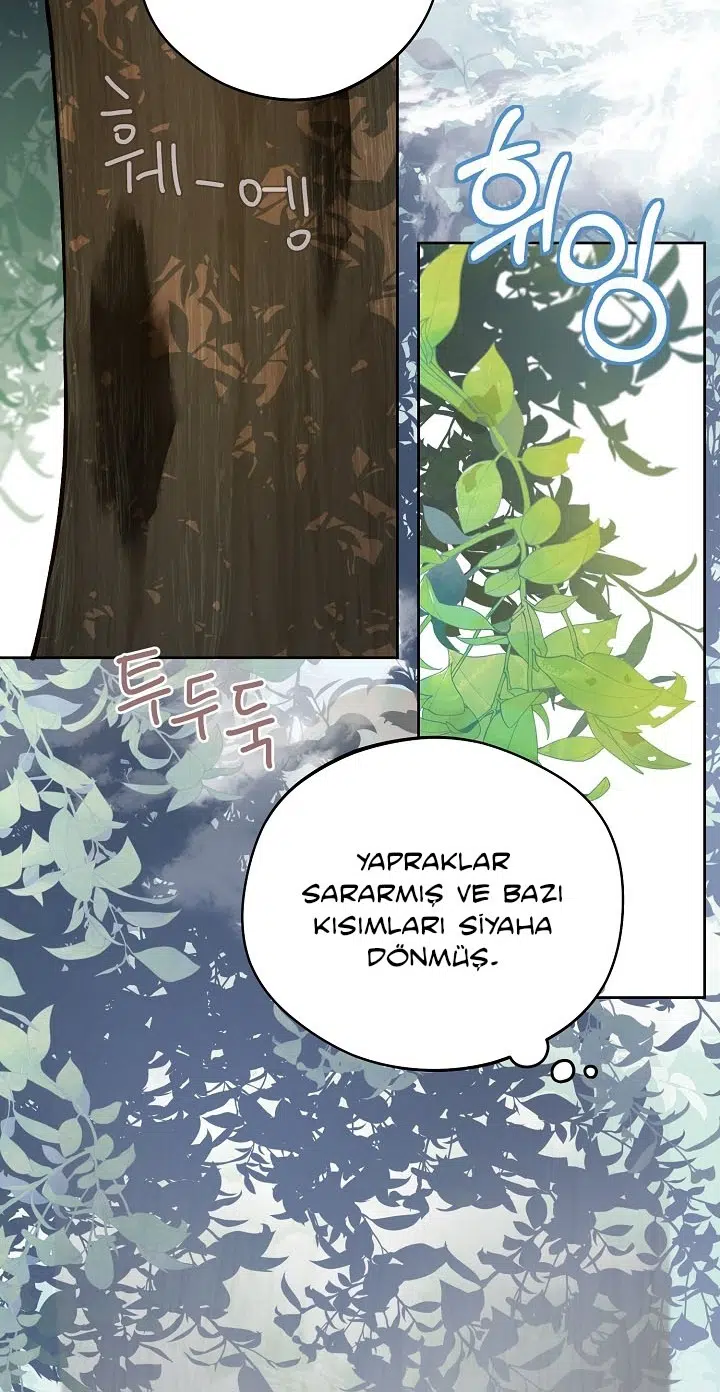 Saray Yakınındaki Marronnier Çiftliği - Bölüm 15 Sayfa 45