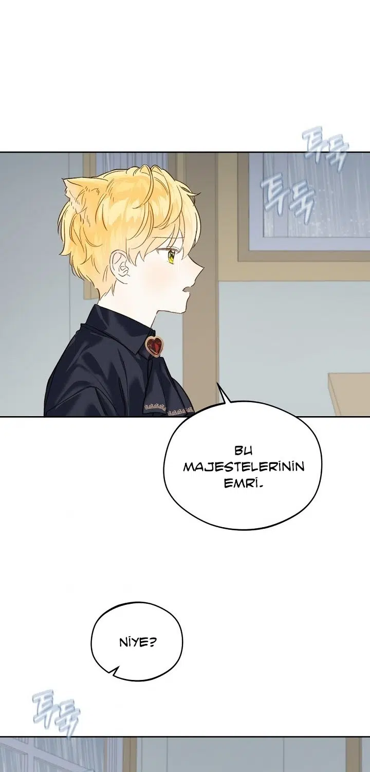 Saray Yakınındaki Marronnier Çiftliği - Bölüm 19 Sayfa 49