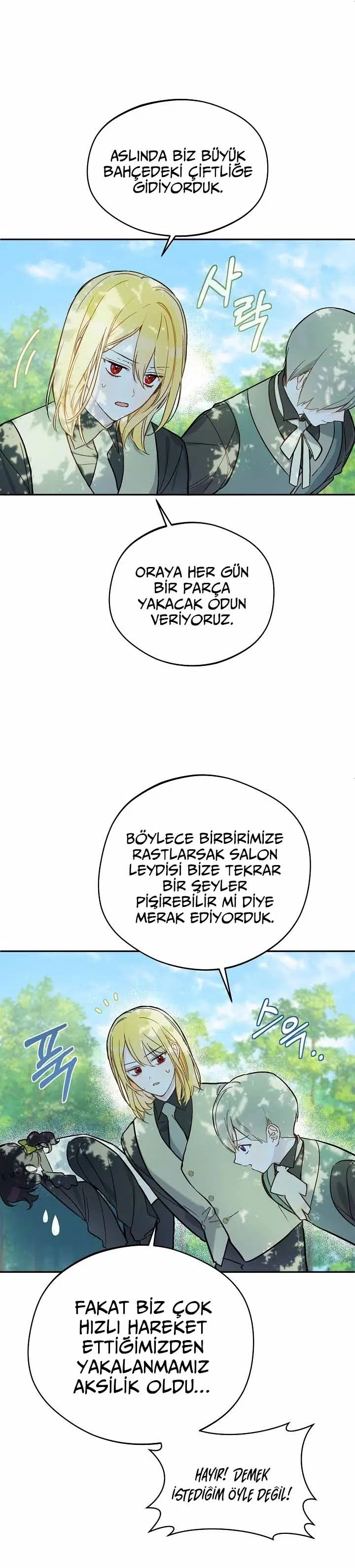 Saray Yakınındaki Marronnier Çiftliği - Bölüm 24 Sayfa 20