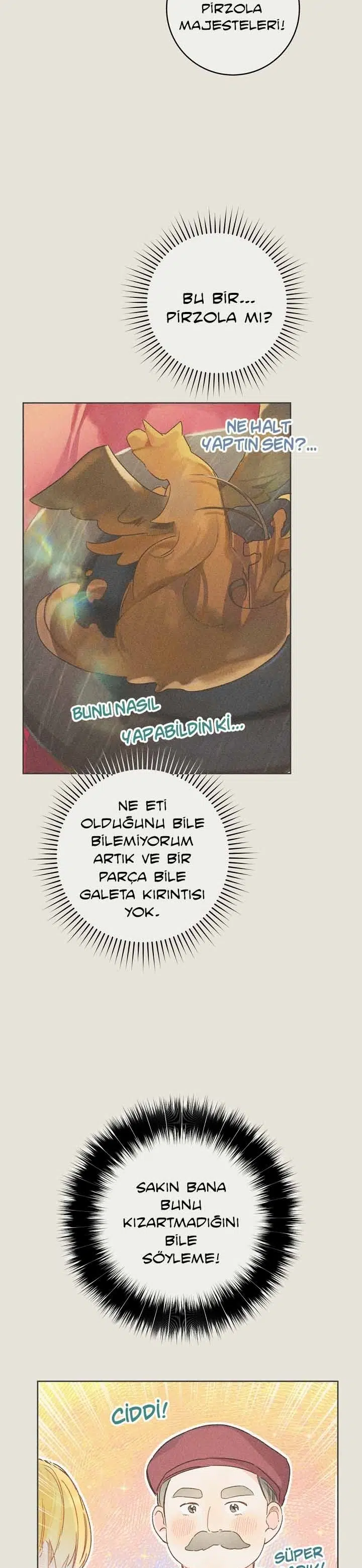 Saray Yakınındaki Marronnier Çiftliği - Bölüm 28 Sayfa 4