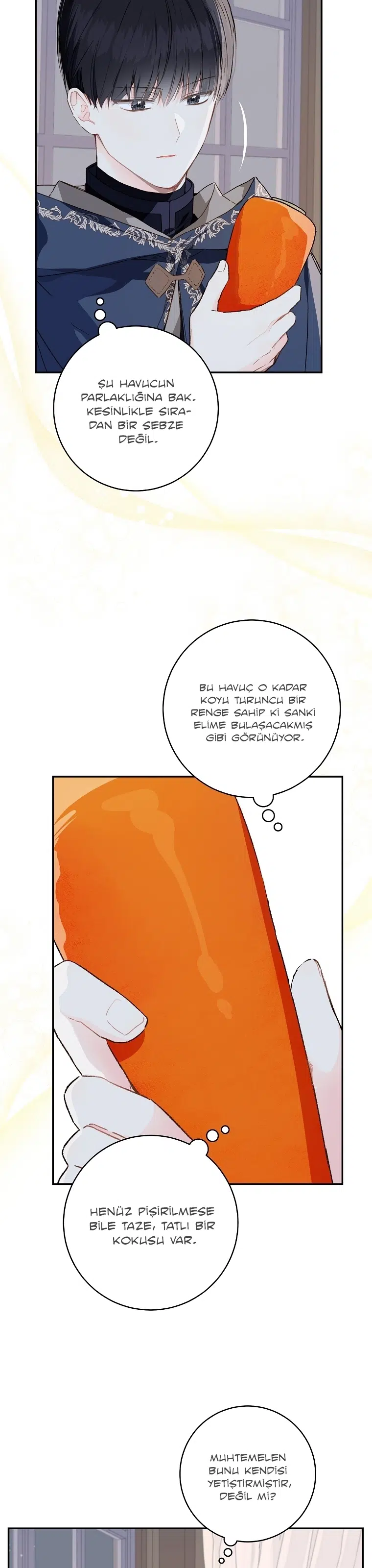 Saray Yakınındaki Marronnier Çiftliği - Bölüm 50 Sayfa 10