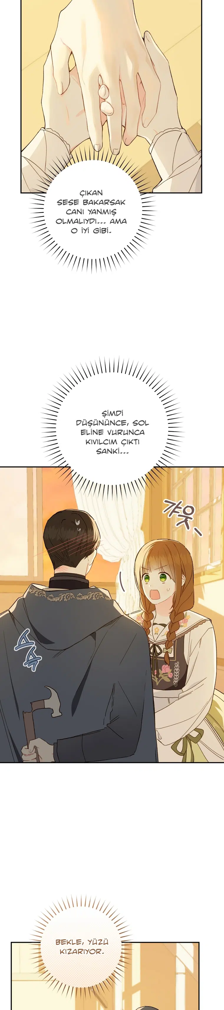 Saray Yakınındaki Marronnier Çiftliği - Bölüm 64 Sayfa 11
