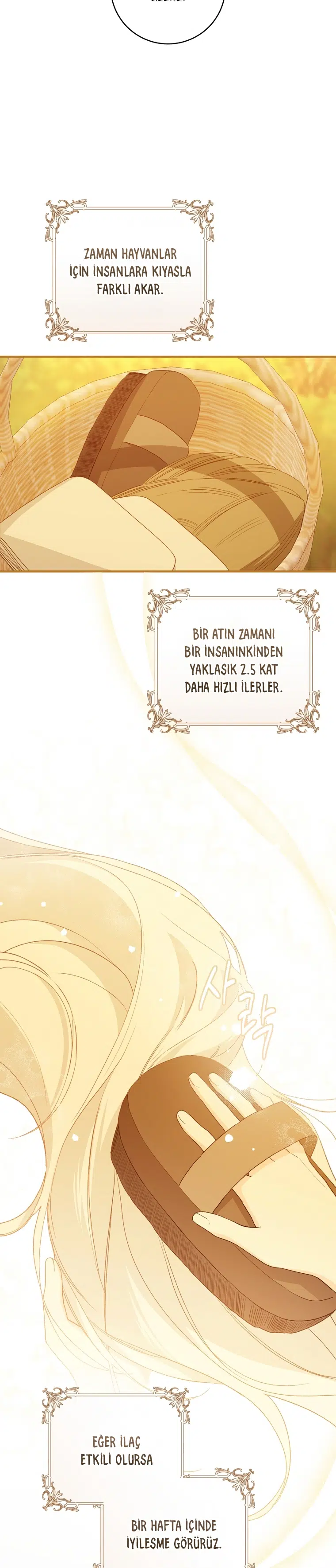 Saray Yakınındaki Marronnier Çiftliği - Bölüm 79 Sayfa 19