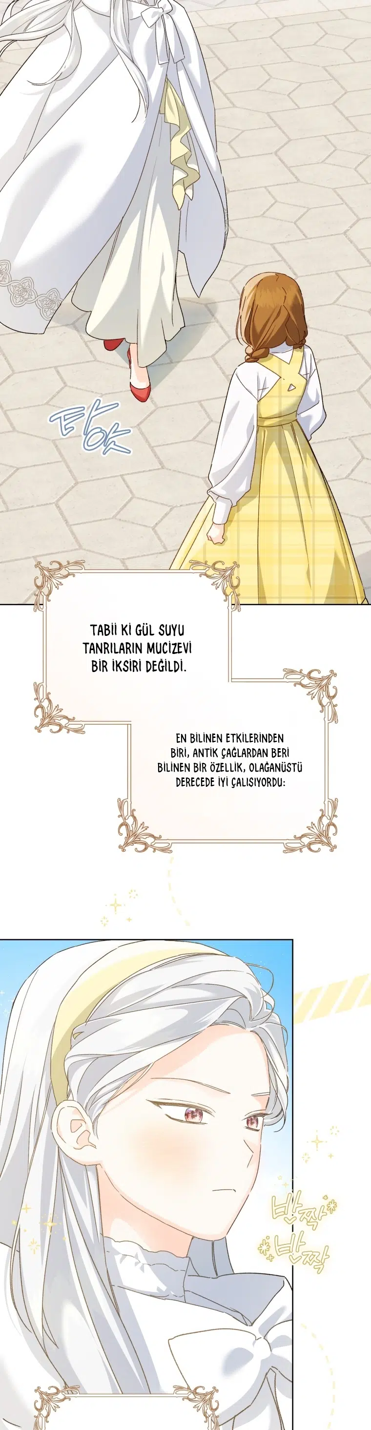 Saray Yakınındaki Marronnier Çiftliği - Bölüm 99 Sayfa 13