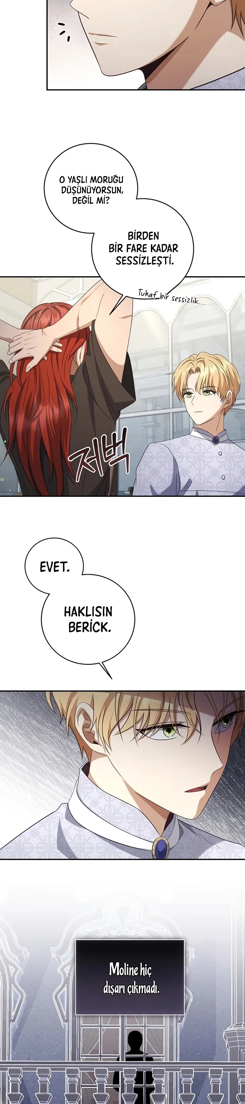 Kontun Gayrimeşru Oğlu Bir Zamanlar İmparatordu - Bölüm 31 Sayfa 31