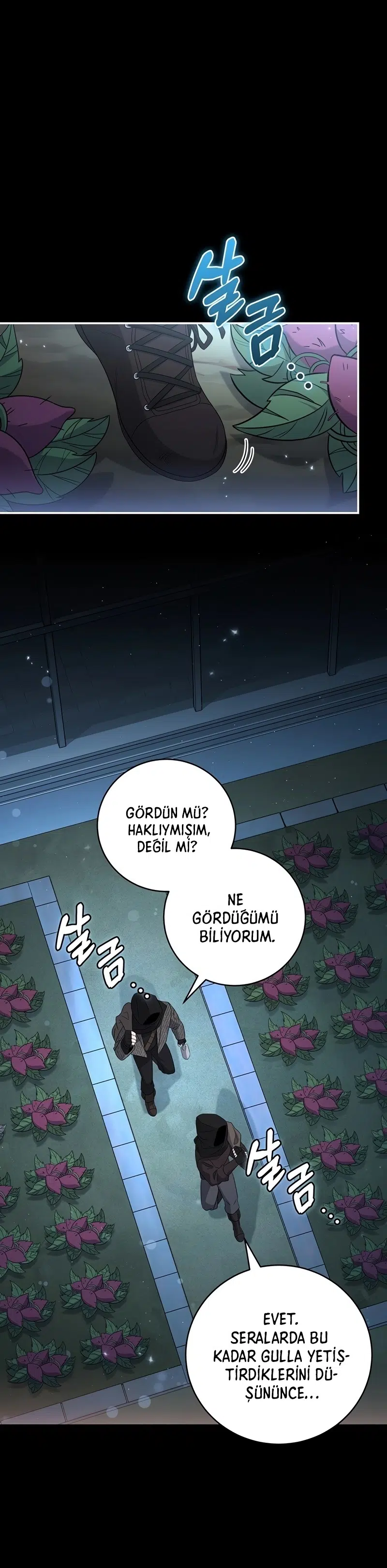 Kontun Gayrimeşru Oğlu Bir Zamanlar İmparatordu - Bölüm 33 Sayfa 2