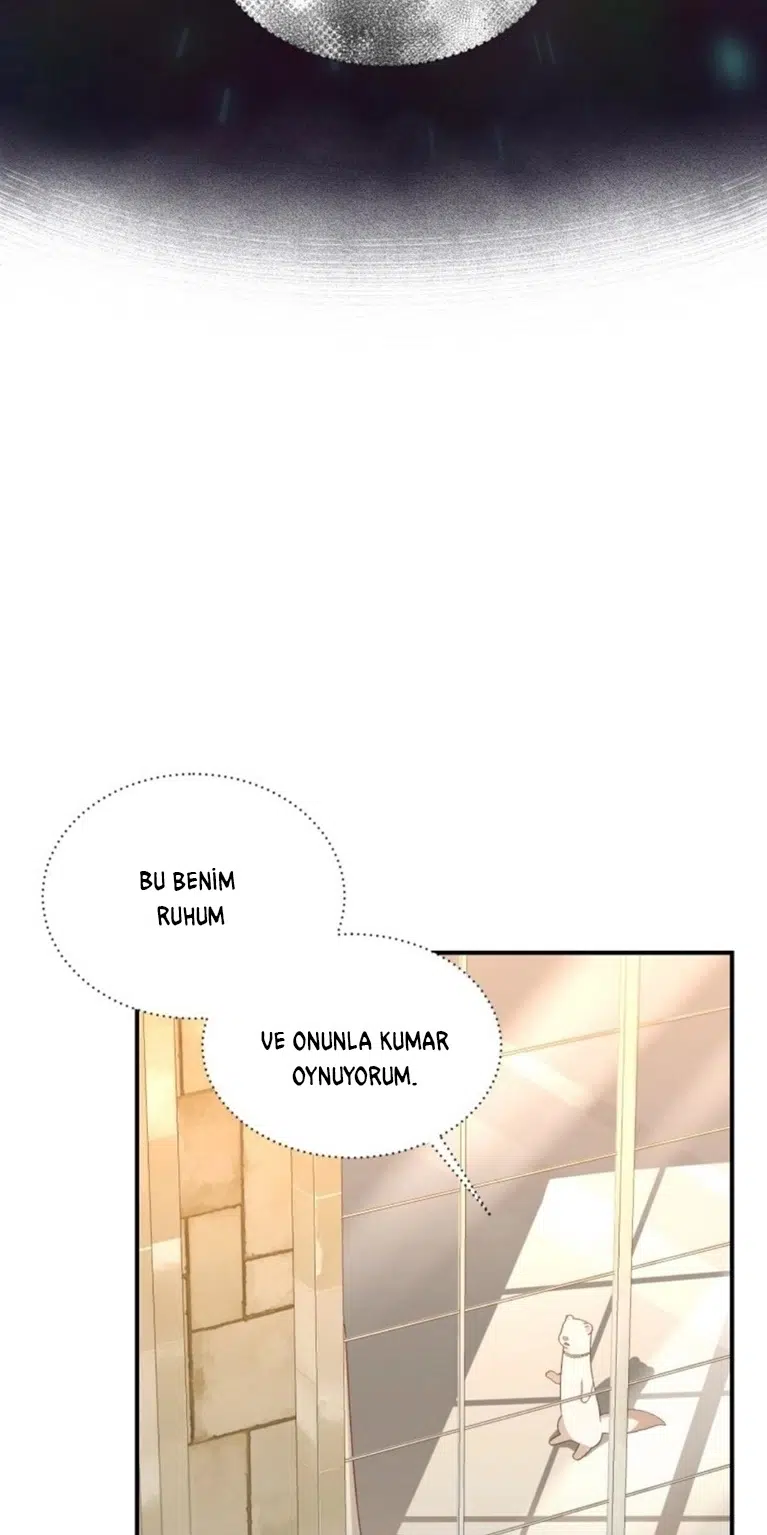 Lanet Olası Beyaz Gelincik - Bölüm 16 Sayfa 19