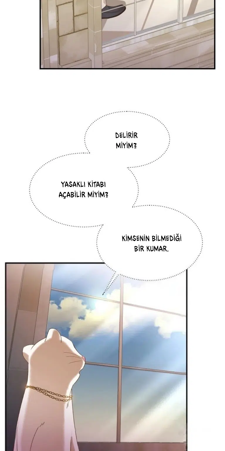 Lanet Olası Beyaz Gelincik - Bölüm 16 Sayfa 20