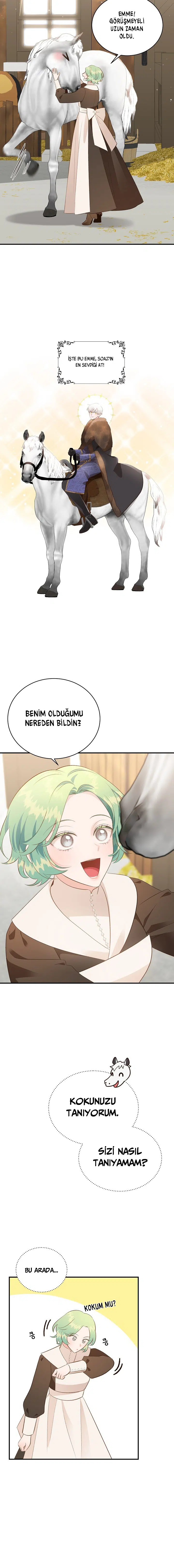 Lanet Olası Beyaz Gelincik - Bölüm 45 Sayfa 3