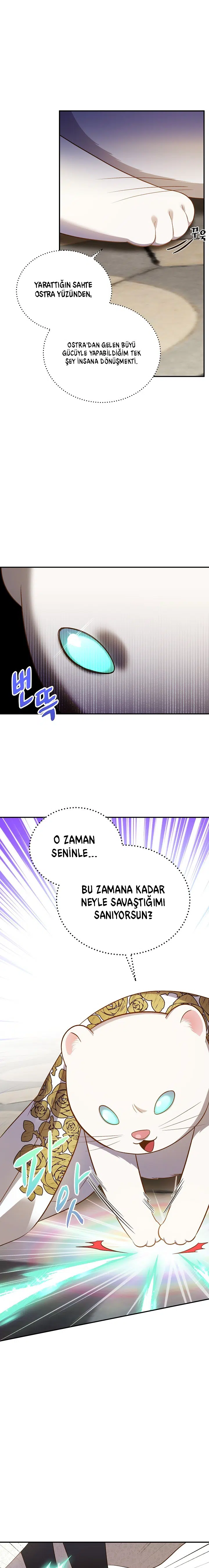Lanet Olası Beyaz Gelincik - Bölüm 69 Sayfa 4