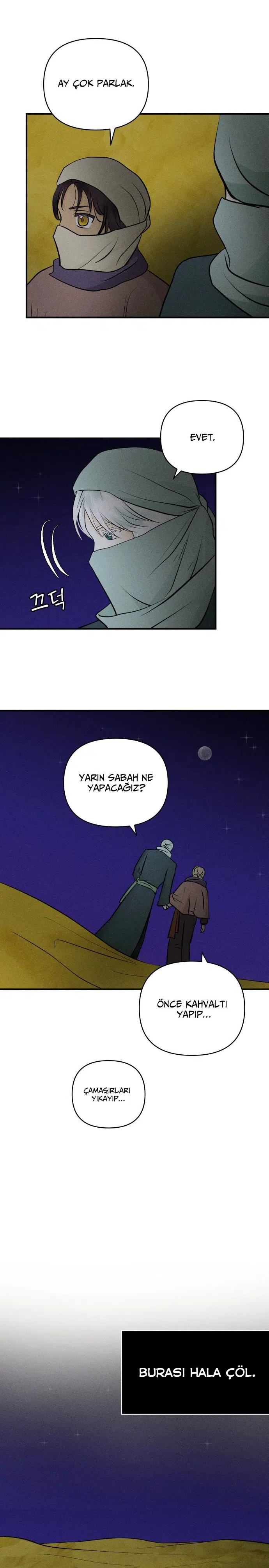Ay Işığındaki Çöl - Bölüm 104 Sayfa 24