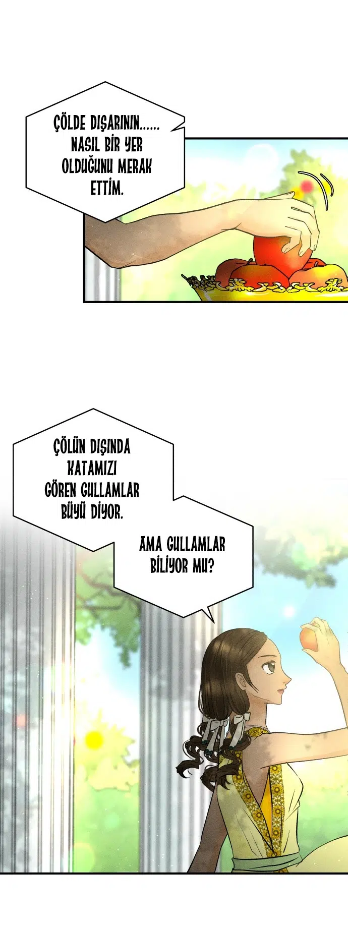 Ay Işığındaki Çöl - Bölüm 29 Sayfa 17