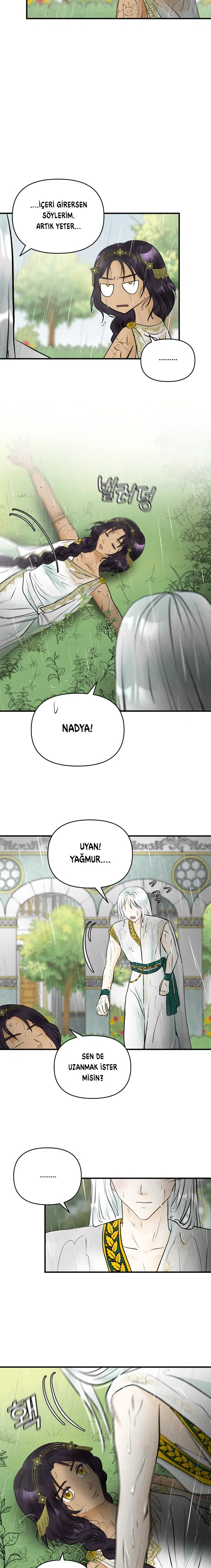 Ay Işığındaki Çöl - Bölüm 49 Sayfa 11