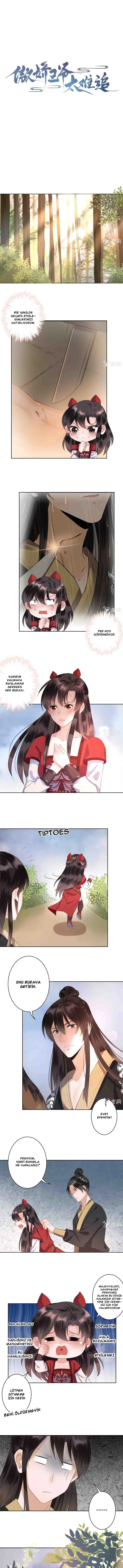 It’s Too Hard to Chase the Tsundere Prince - Bölüm 15 Sayfa 2