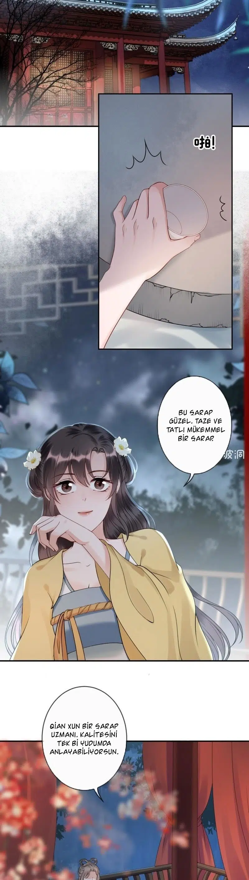 It’s Too Hard to Chase the Tsundere Prince - Bölüm 195 Sayfa 12