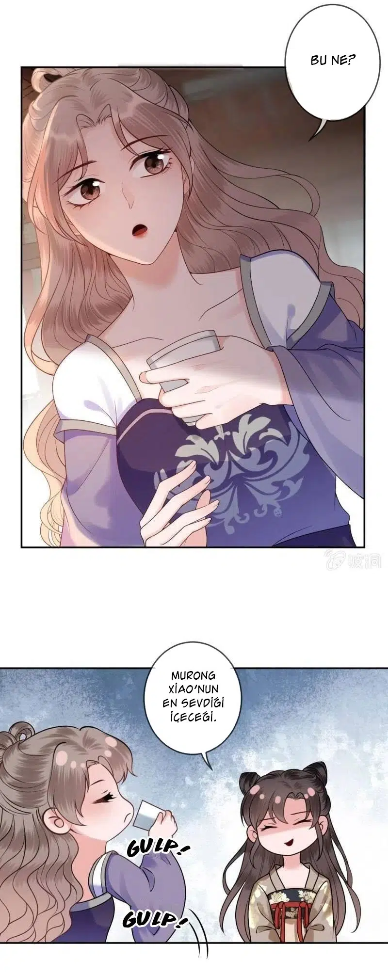 It’s Too Hard to Chase the Tsundere Prince - Bölüm 215 Sayfa 9