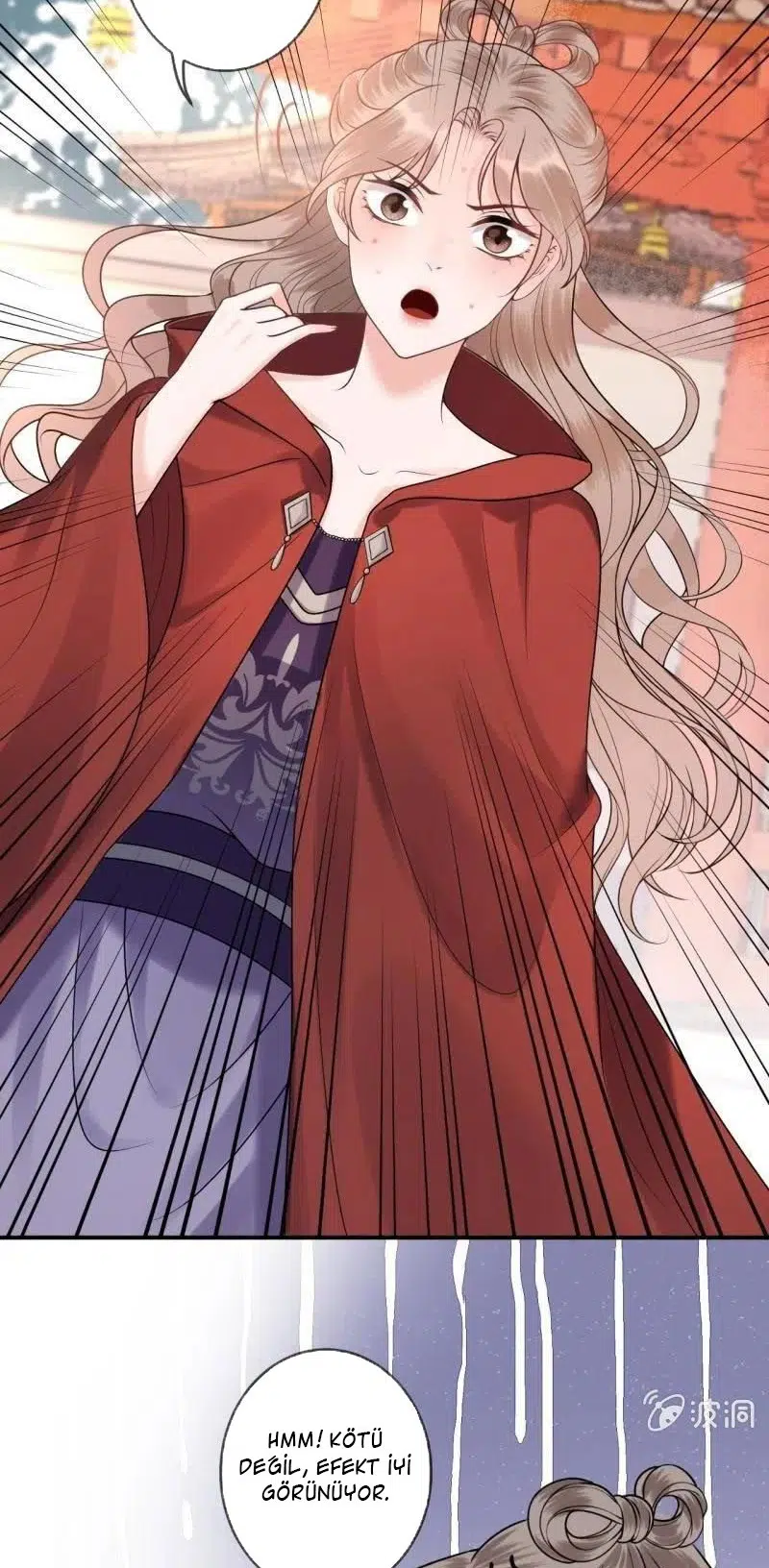 It’s Too Hard to Chase the Tsundere Prince - Bölüm 216 Sayfa 11