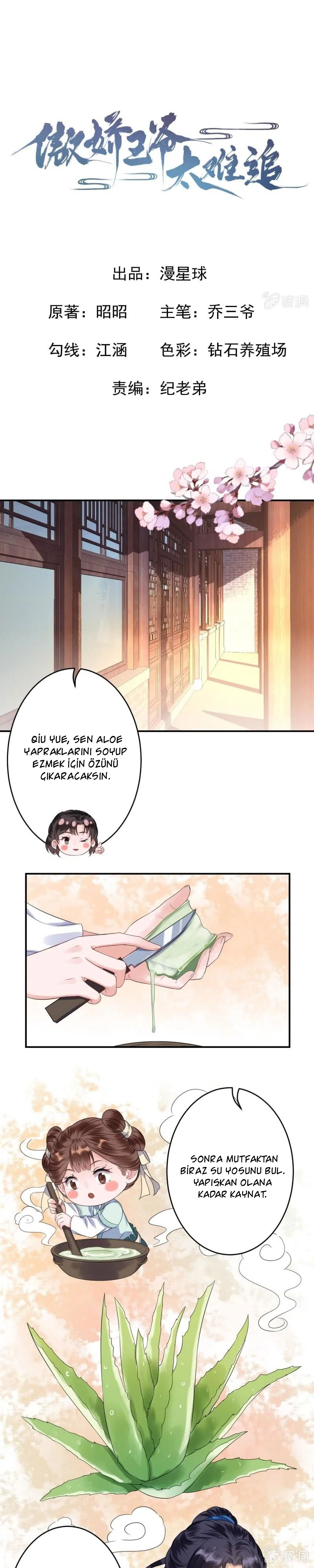 It’s Too Hard to Chase the Tsundere Prince - Bölüm 62 Sayfa 2