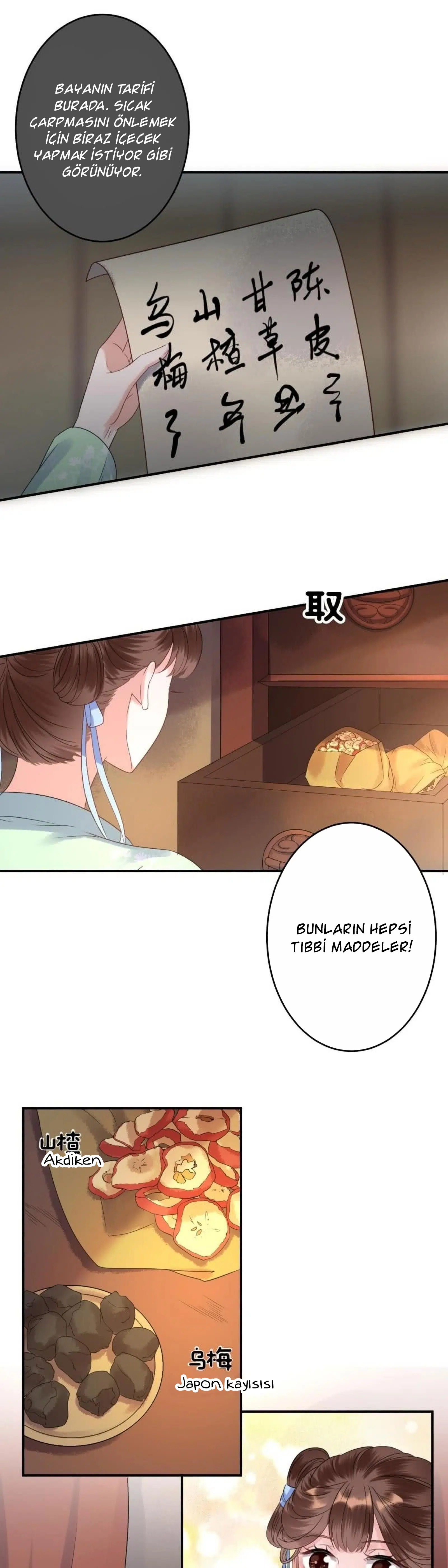 It’s Too Hard to Chase the Tsundere Prince - Bölüm 70 Sayfa 9