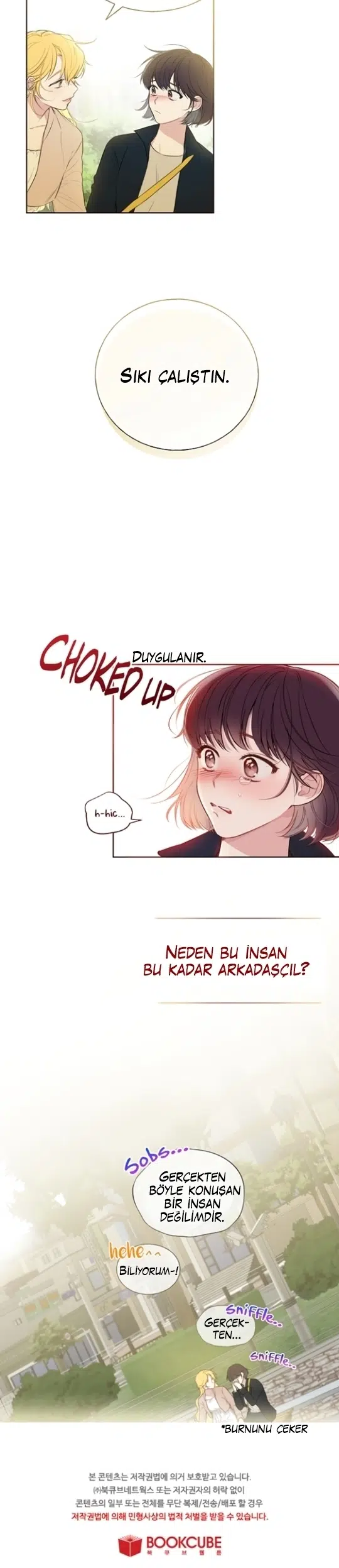 Invitation of Mystic Messenger - Bölüm 1 Sayfa 19