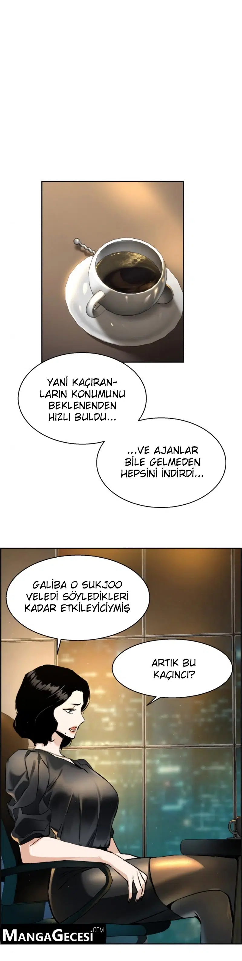 Paralı Askerin Eve Dönüşü - Bölüm 19 Sayfa 2