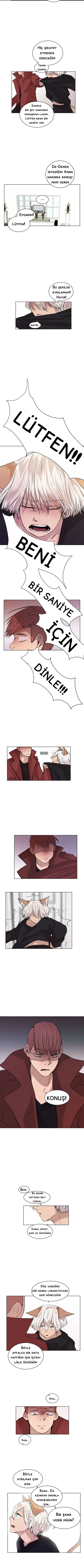 Fluffy Boyfriend - Bölüm 5 Sayfa 3