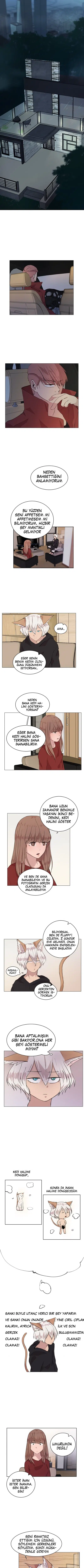 Fluffy Boyfriend - Bölüm 11 Sayfa 2